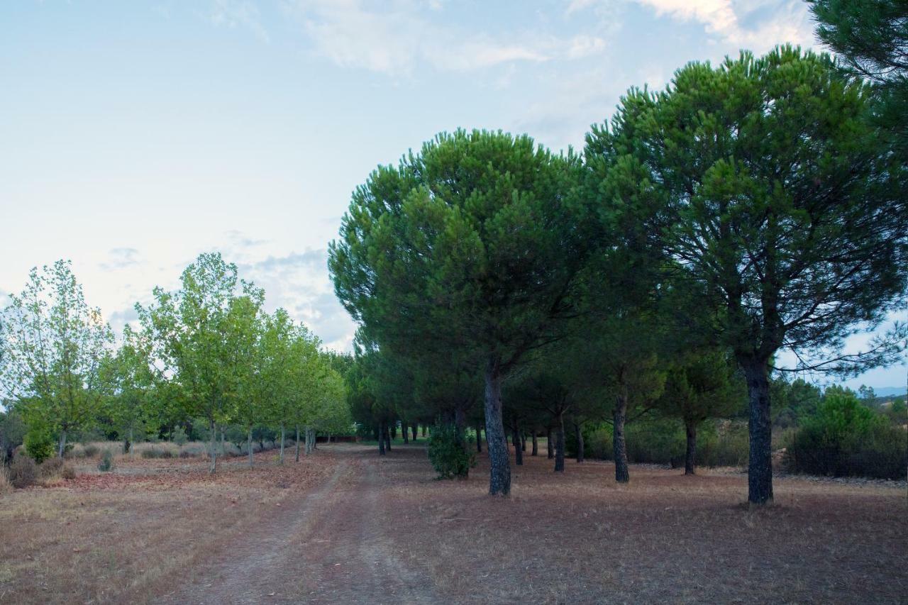 Hotel Rural Las Tejuelas Valdecaballeros Экстерьер фото